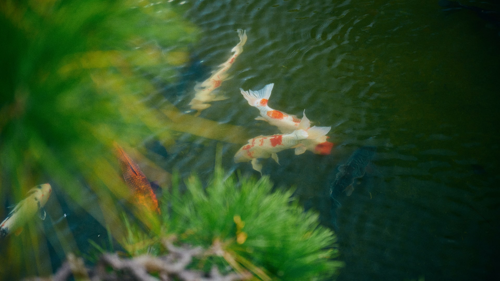 百年庭園の宿 翠水