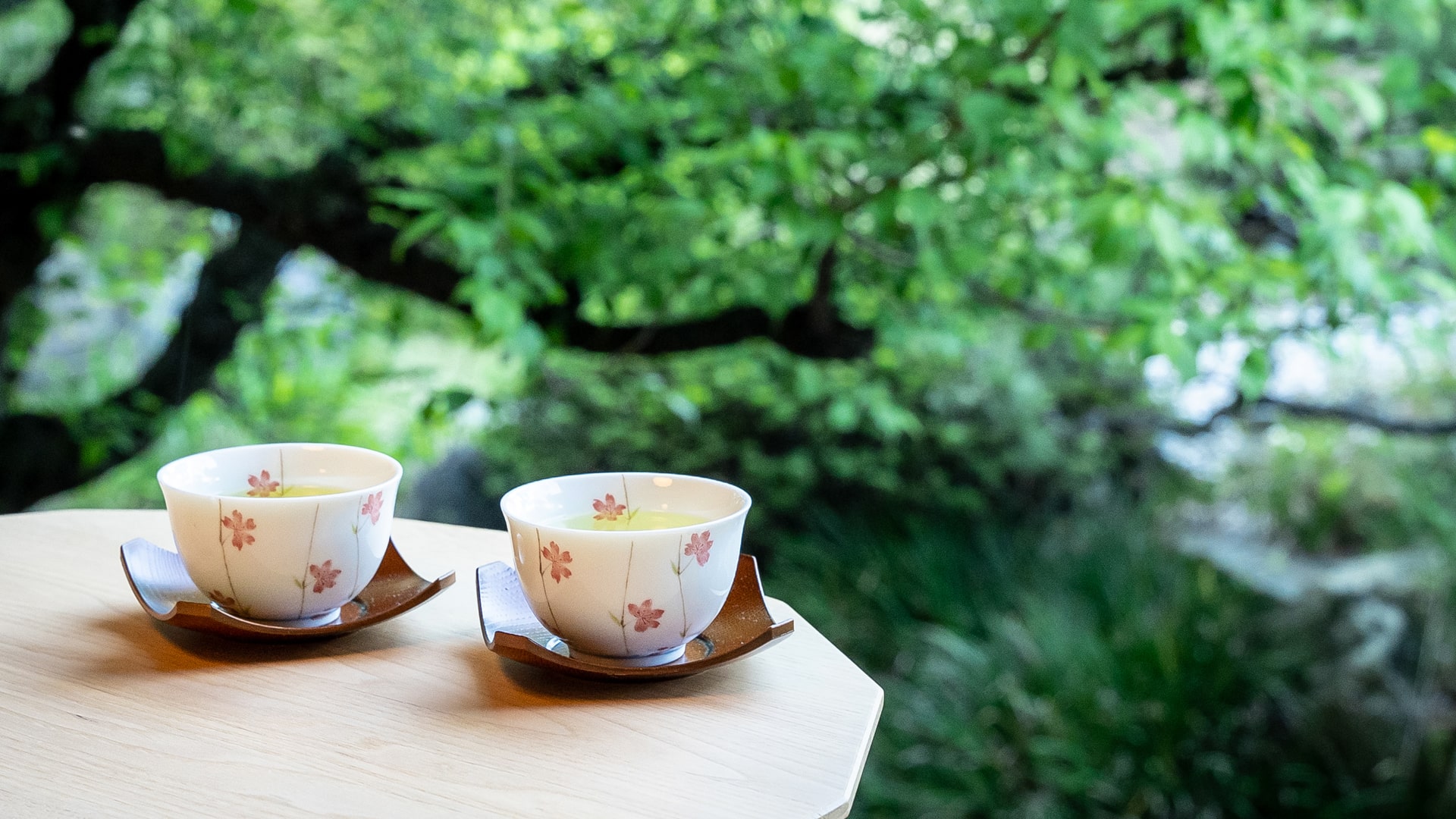 百年庭園の宿 翠水