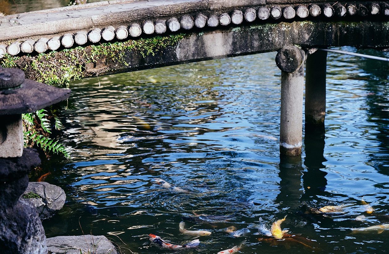 百年庭園の宿 翠水（sui-sui Garden Ryokan）